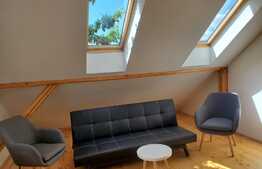 Pret redus! Imobil cu destinatie mixta! Locuinta sau clinica medicala, 8 locuri de parcare, 241 mp utili, 441 suprafata teren, zona strazii Eugen Ionesco