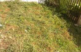 3 camere, 61 mp, mobilat-utilat, curte privata, zona Somesului! Parcare inclusa!