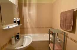 Apartament cu o camera, de 46,7 mp, in zona Dorobantilor, etaj intermediar