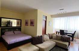 Apartament cu o camera, de 46,7 mp, in zona Dorobantilor, etaj intermediar