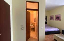 Apartament cu o camera, de 46,7 mp, in zona Dorobantilor, etaj intermediar