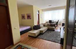 Apartament cu o camera, de 46,7 mp, in zona Dorobantilor, etaj intermediar