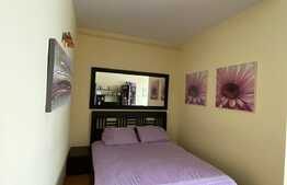 Apartament cu o camera, de 46,7 mp, in zona Dorobantilor, etaj intermediar