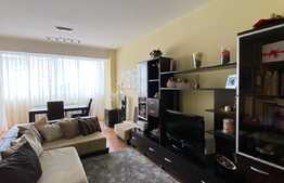 Apartament cu o camera, de 46,7 mp, in zona Dorobantilor, etaj intermediar