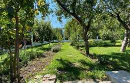 Casa generoasa cu curte privata, 400 mp, zona Pietei Cipariu, ideal sediu firma