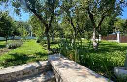 Casa generoasa cu curte privata, 400 mp, zona Pietei Cipariu, ideal sediu firma