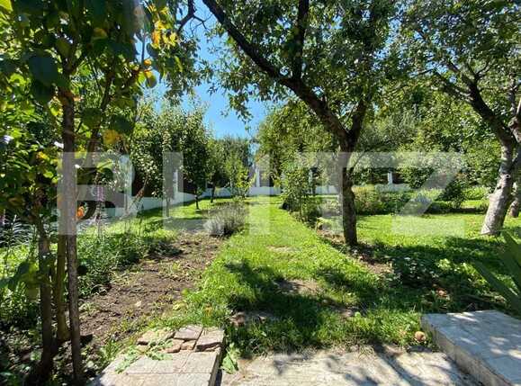 Spațiu birouri de închiriat Central - 69660SIB | BLITZ Cluj-Napoca | Poza13