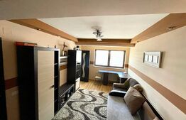 Garsoniera de inchiriat, bloc nou, 30mp, parcare, zona Marasti, Pet friendly