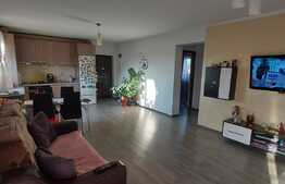 Apartament de 3 camere, etaj intermediar, complet mobilat si utilat, zona Terra!