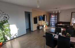 Apartament de 3 camere, etaj intermediar, complet mobilat si utilat, zona Terra!