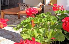 De vanzare casa cocheta, finisata si mobilata, la cheie, Iris!