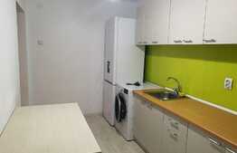 Garsoniera semidecomandata de 27 mp, cu 2 locuri de parcare incluse in pret, in zona Auchan Iris