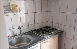 Apartament 3 camere, pet frendly, zona pietonala din Racadau
