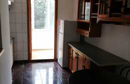 Apartament 3 camere, pet frendly, zona pietonala din Racadau