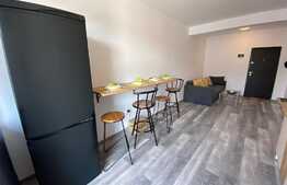 Apartament 2 camere cochet, parcare subterana, lift, 40 mp, Zona Terra!