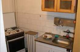 Inchiriere apartament 1 camera, 28 mp utili, zona Grigore Alexandrescu