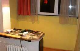 Inchiriere apartament 1 camera, 28 mp utili, zona Grigore Alexandrescu