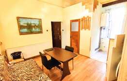 INVESTITIE! Garsoniera ultracentrala, CT proprie, curte, 20mp, zona Primariei