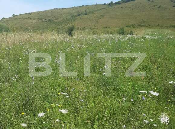 Teren de vânzare Floreşti - 69853TV | BLITZ Cluj-Napoca | Poza1