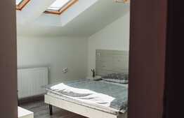 Proprietate/pensiune deosebita, la 15 minute de oras,  cu potential urias de business