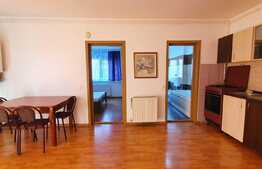 Apartament 1 camera, 45 mp, parcare, Chinteni