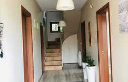 Casa individuala, 170 mp, teren 600 mp, 5 camere, zona Maramuresului