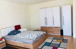 Casa individuala, 170 mp, teren 600 mp, 5 camere, zona Maramuresului