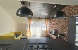 2 camere, modern, 48 mp, zona Florilor