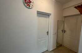 Apartament de 1 camera, decomandat, pet friendly,  40 mp, zona Lukoil