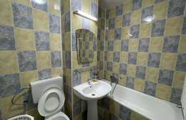 Apartament de 1 camera, decomandat, pet friendly,  40 mp, zona Lukoil
