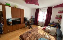 Camera de camin, 23 mp, zona Rulmentul 