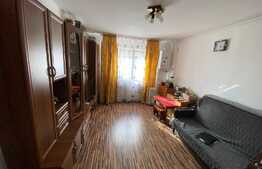 Camera de camin, 23 mp, zona Rulmentul 