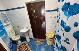 Camera de camin, 23 mp, zona Rulmentul 