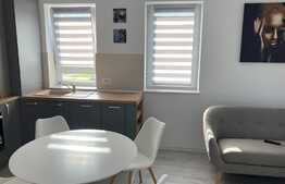 Apartament 2 camere, tip studio, zona Coresi