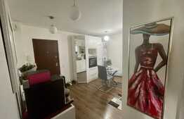 Apartament 2 camere, recent renovat, decomandat, balcon, cartier Zorilor