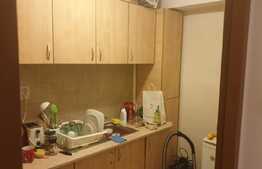 Apartament 1 camera, 30 mp, pet friendly, zona Piata Stefan Cel Mare