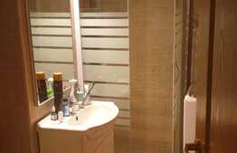 Apartament 1 camera, 30 mp, pet friendly, zona Piata Stefan Cel Mare