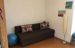 Apartament 1 camera, 30 mp, pet friendly, zona Piata Stefan Cel Mare