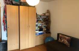 Apartament 1 camera, 30 mp, pet friendly, zona Piata Stefan Cel Mare