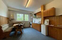 Apartament 1 camera, decomandat, 42 mp, zona strazii Vanatorului