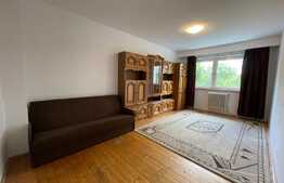 Apartament 1 camera, decomandat, 42 mp, zona strazii Vanatorului