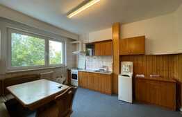 Apartament 1 camera, decomandat, 42 mp, zona strazii Vanatorului