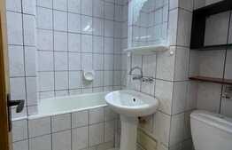 Apartament 1 camera, decomandat, 42 mp, zona strazii Vanatorului