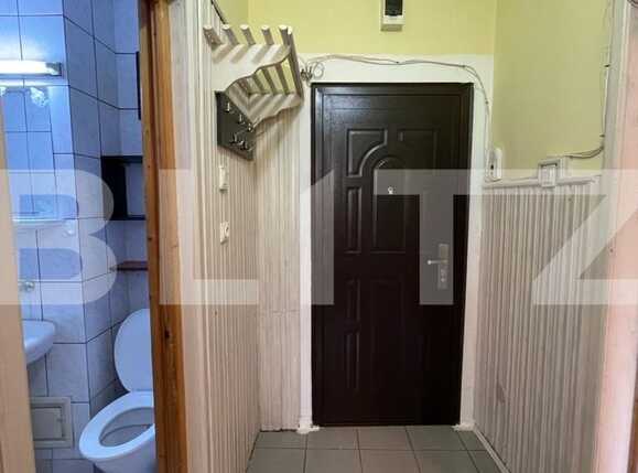 Garsonieră de închiriat Gruia - 70114AI | BLITZ Cluj-Napoca | Poza9