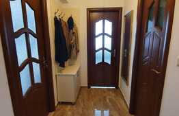 Apartament de 2 camere, mobilat, utilat lux, zona LIDL