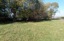 Teren intravilan in Rasnov, 4000 mp, Glejerie