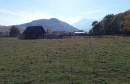 Teren intravilan in Rasnov, 4000 mp, Glejerie