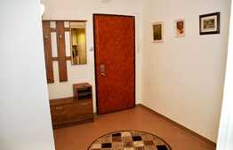 Apartament cu 1 camera, 40mp, zona centrala