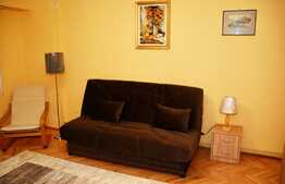 Apartament cu 1 camera, 40mp, zona centrala
