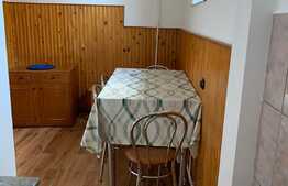 Apartament de inchiriat in imobil tip vila, 76 mp, parcare, zona pod Ira